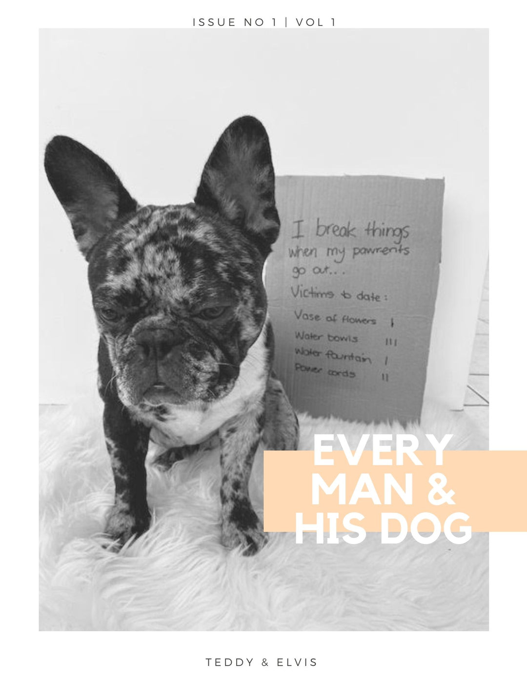 Issue 1 | Teddy & Elvis