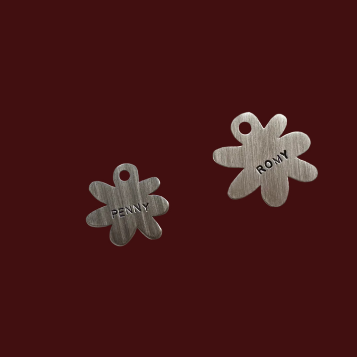 WONKY DAISY