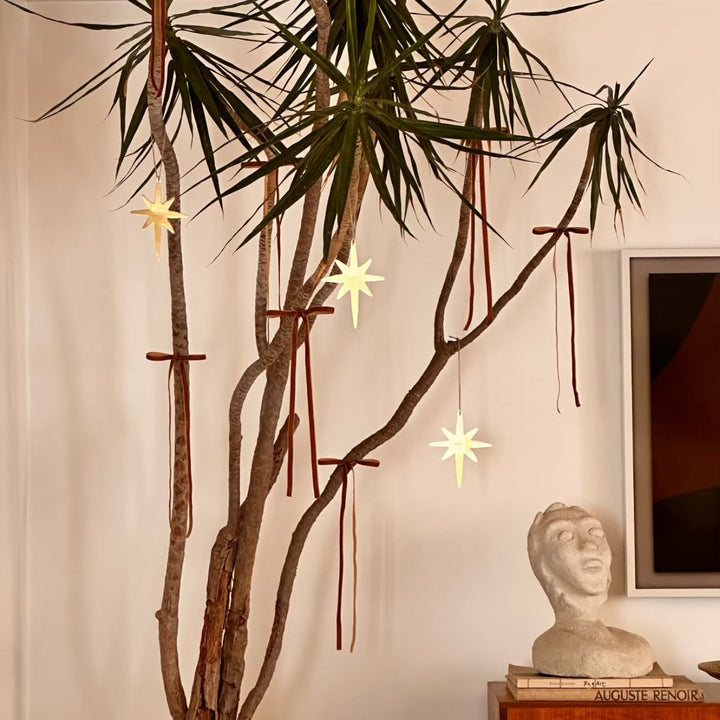 LIMITED PREORDER CUSTOM WONKY STAR TREE DECORATION - ships november
