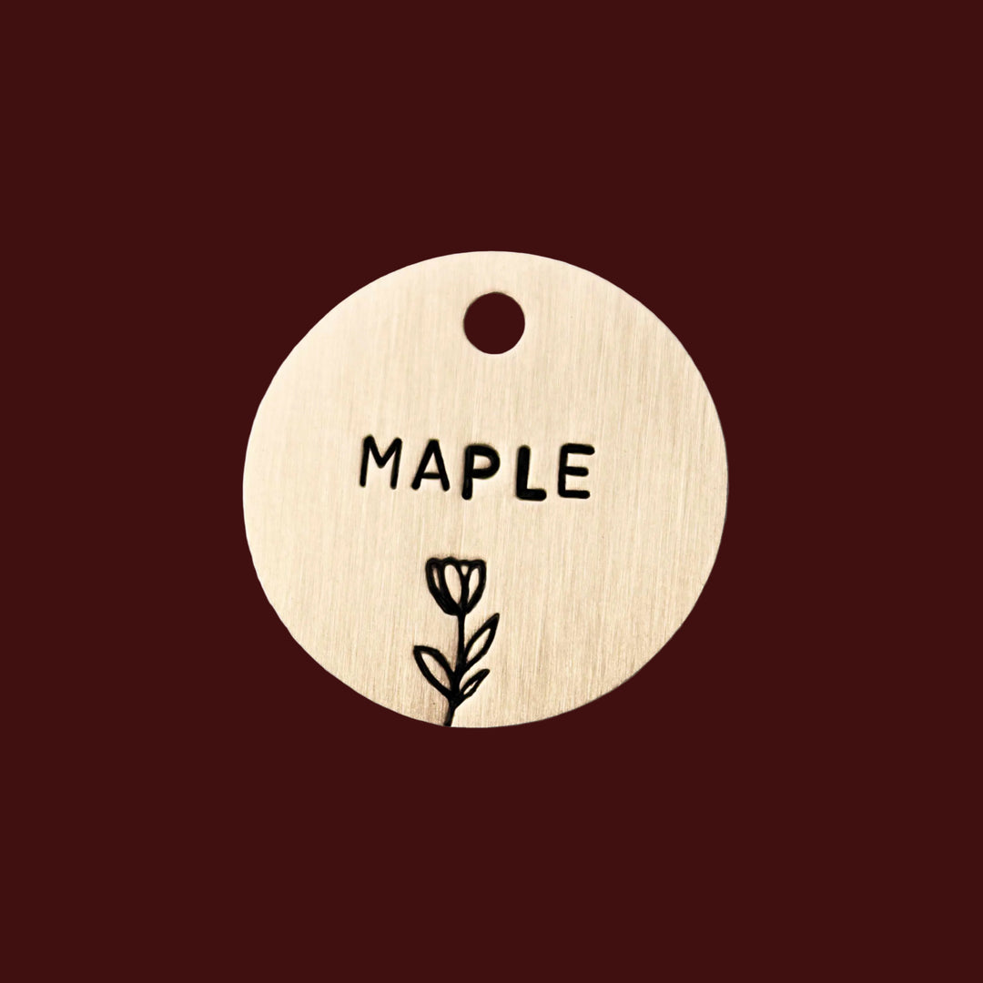 TULIP